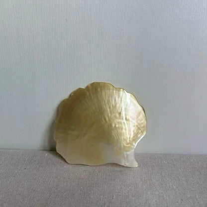 Ginkgo Shell Dish