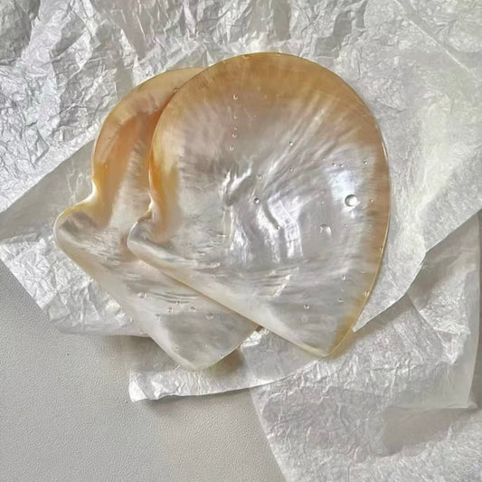 Yellow Rim Shell Plate