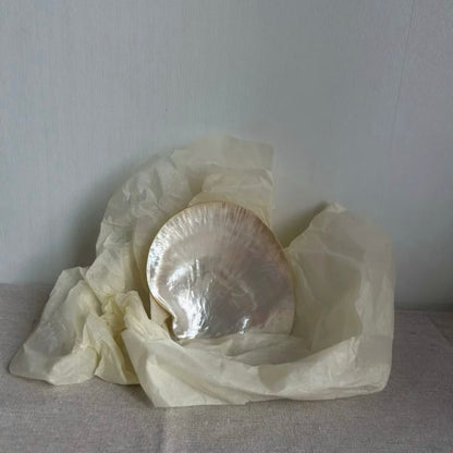 Yellow Rim Shell Plate