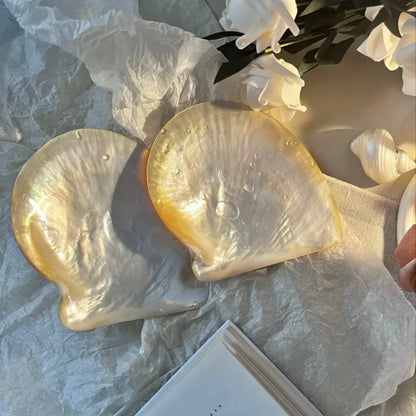 Yellow Rim Shell Plate