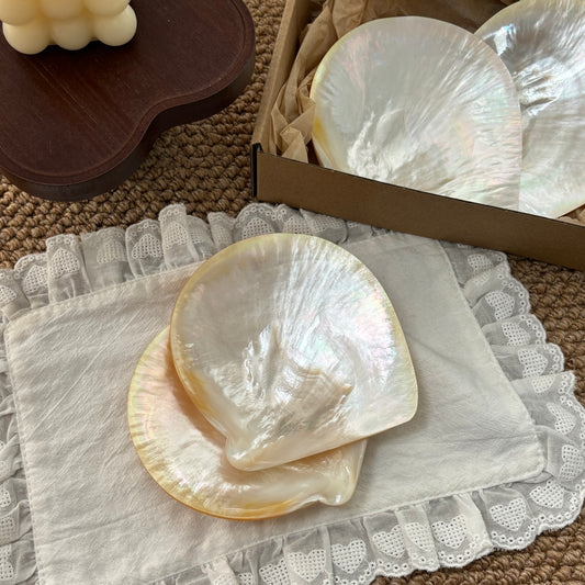 Yellow Rim Shell Plate