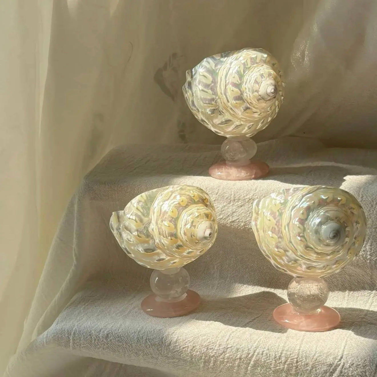 Turritella Crystal Stand