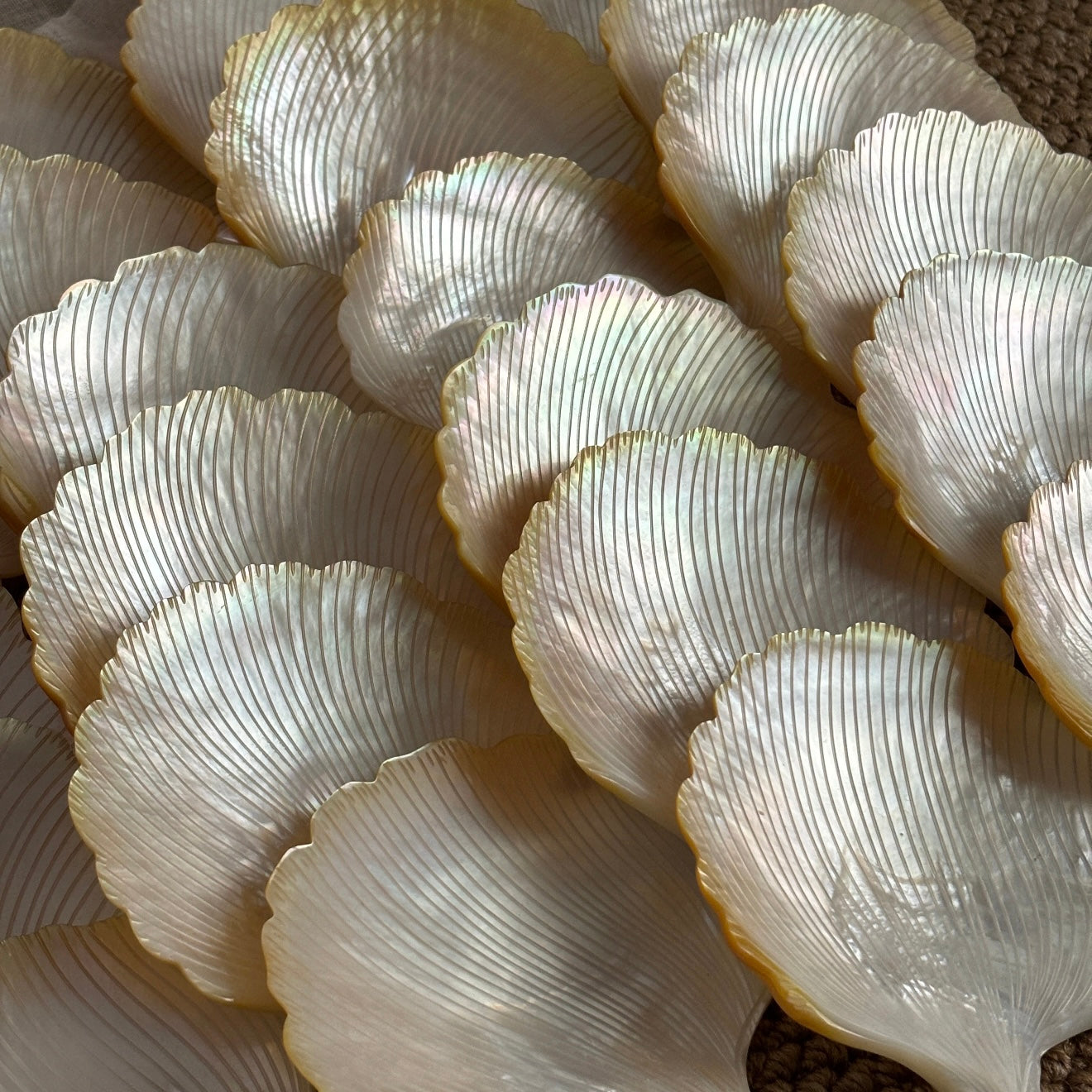 Ginkgo Shell Dish