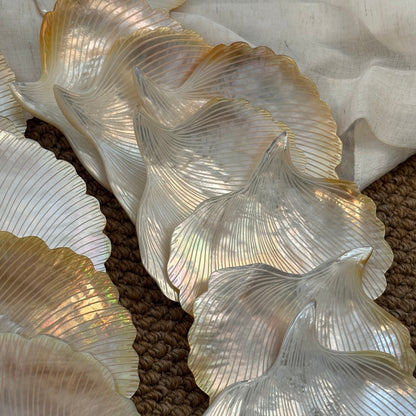 Ginkgo Shell Dish