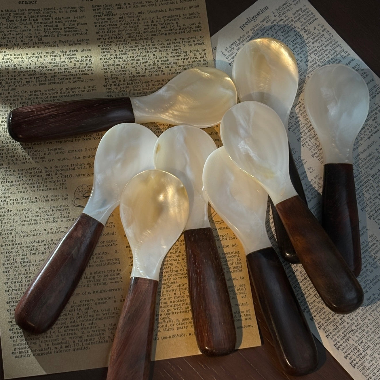 Shell & Rosewood Spoon