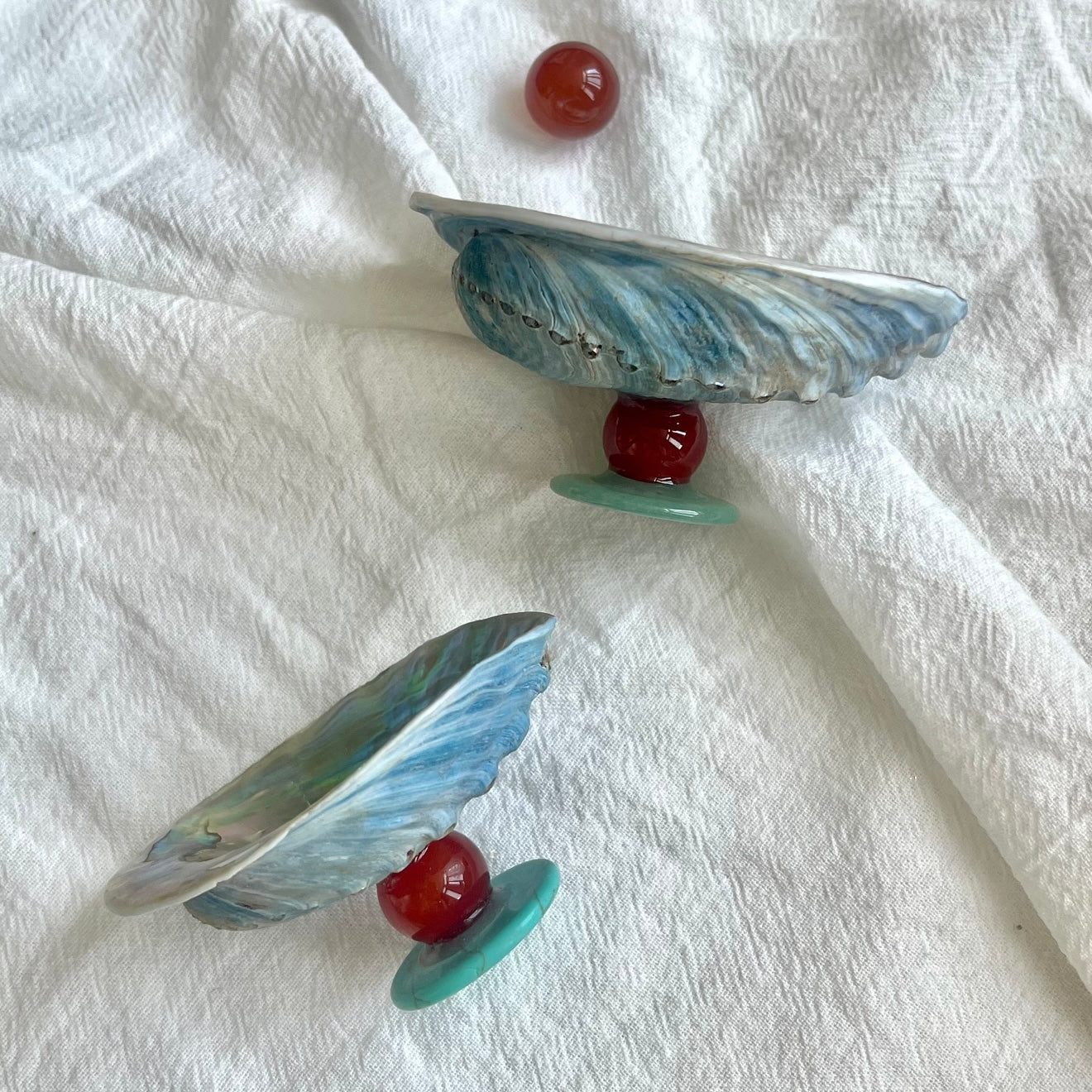 Blue Abalone Crystal Display