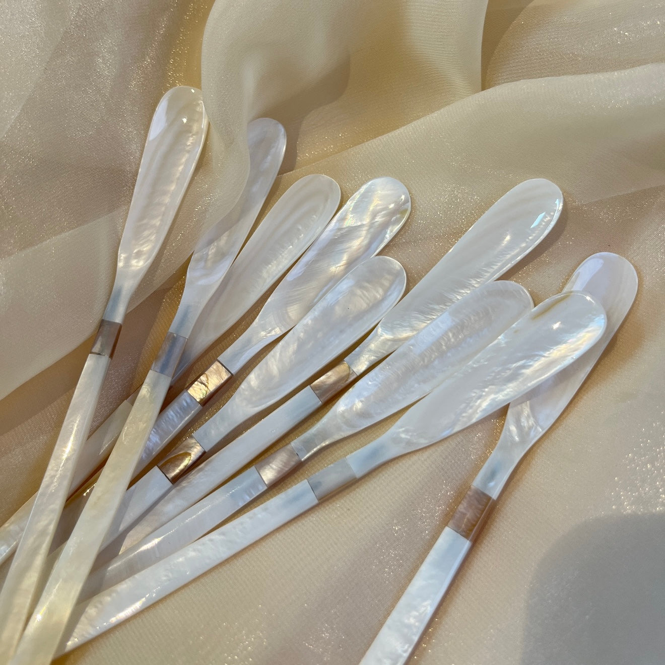 Pink-Tip Shell Stirrer