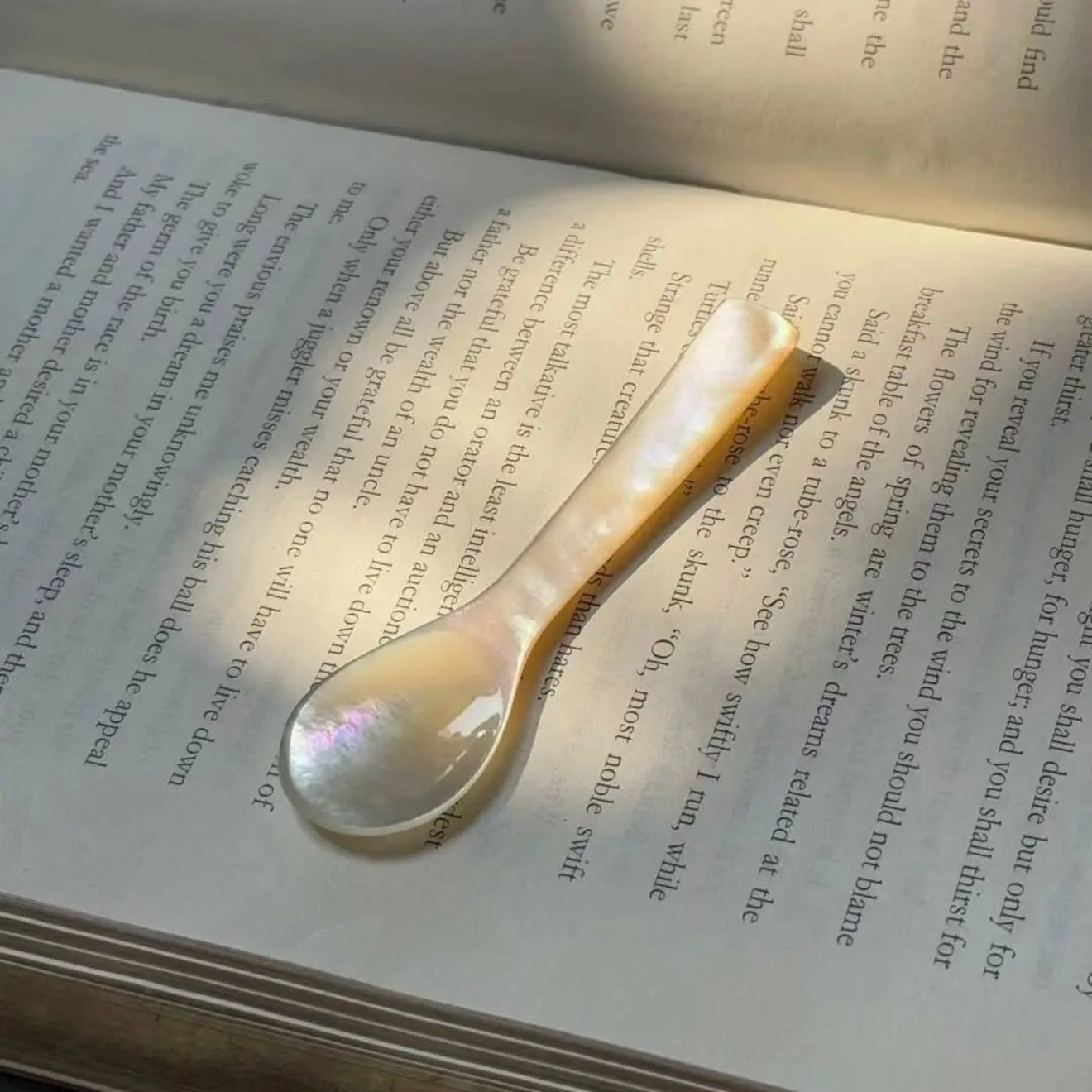 Golden Shell Spoon